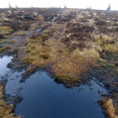 Peat bog in Minchmoor #dreich #scottishborders