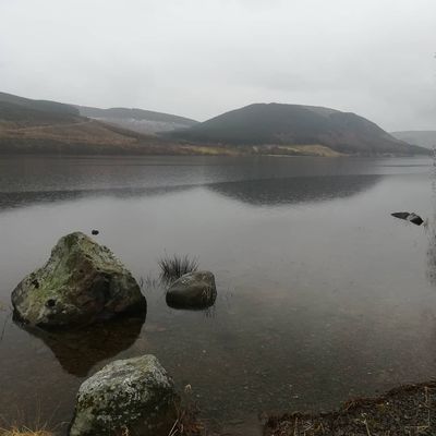 #scottishborders #rainyday #dreich #stmarysloch