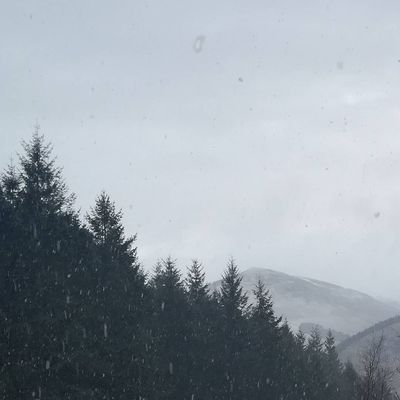#snow #leepen