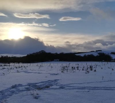 #snowyday #innerleithen #tweed #rivertweed