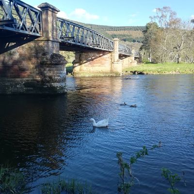 #innerleithen #scottishborders #scotland #spring
