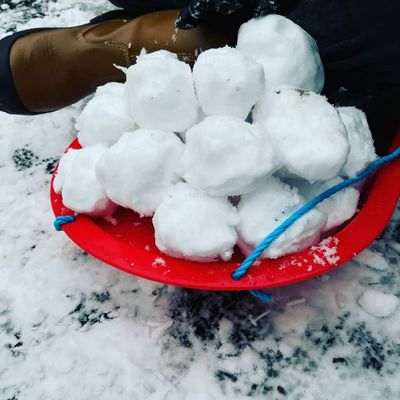 #snowballs