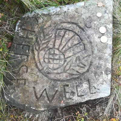 Went to visit the fairies the other day #cheesewell #scottishborders #scotland