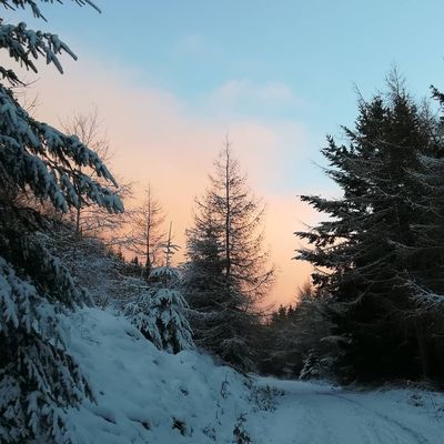 #caddonbank #innerleithen #scottishborders #scotland