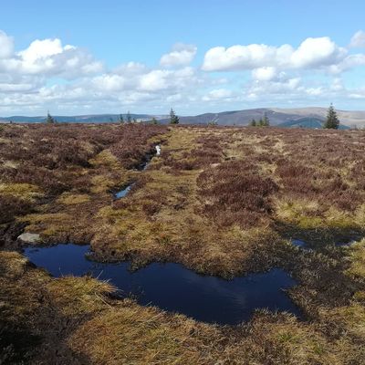 #minchmoor #scottishborders #scotland