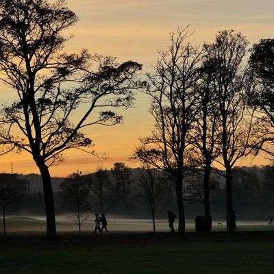 Inverleith Park