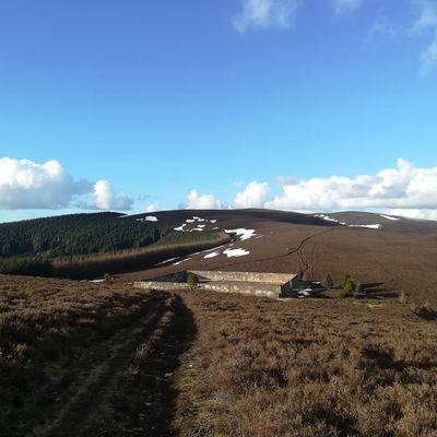 #kirnielaw #kirnielawreservoir #scottishborders #innerleithen #spring