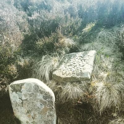 Leaving money (or cheese) for the #fairies at the #cheesewell on #minchmoor 
#scottishborders #scotland