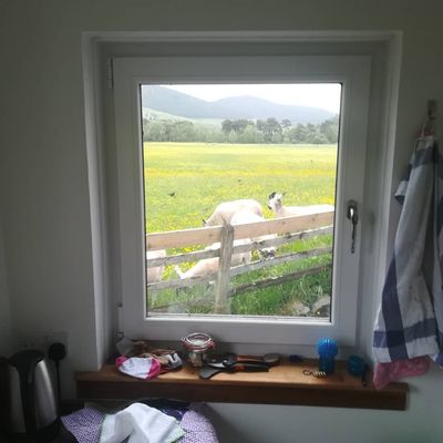 View while doing the dishes #innerleithen #scottishborders