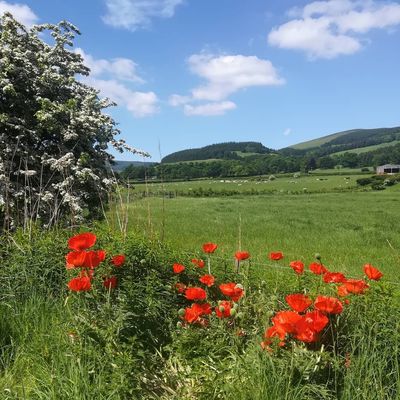#innerleithen #scottishborders #scottishspring #beautifulscotland