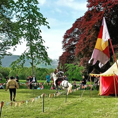 Mediaeval fair at Traquair House. Why, yes, those knights _are_ jousting 😅